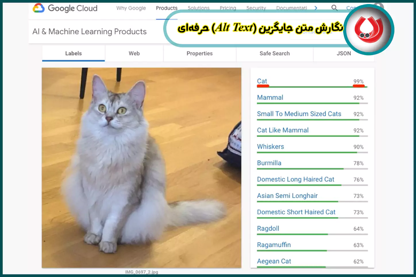 نگارش-متن-جایگزین-(Alt Text)-حرفه‌ای