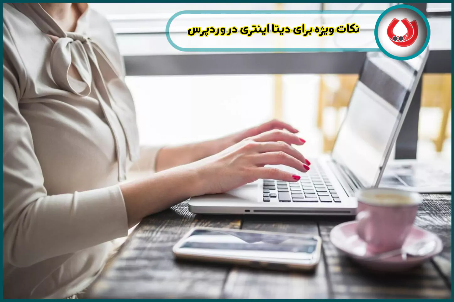 نکات ویژه برای دیتا اینتری در وردپرس