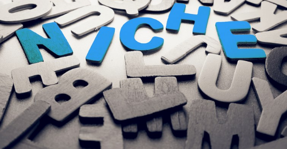 فاکتورهای انتخاب بهترین نیچ