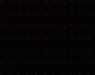 فاطمه عباسي