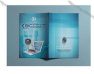 طراحی بروشور