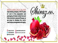 طراحی استیکر